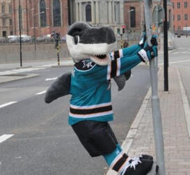 picture of san jose sharks mascot sharkie
